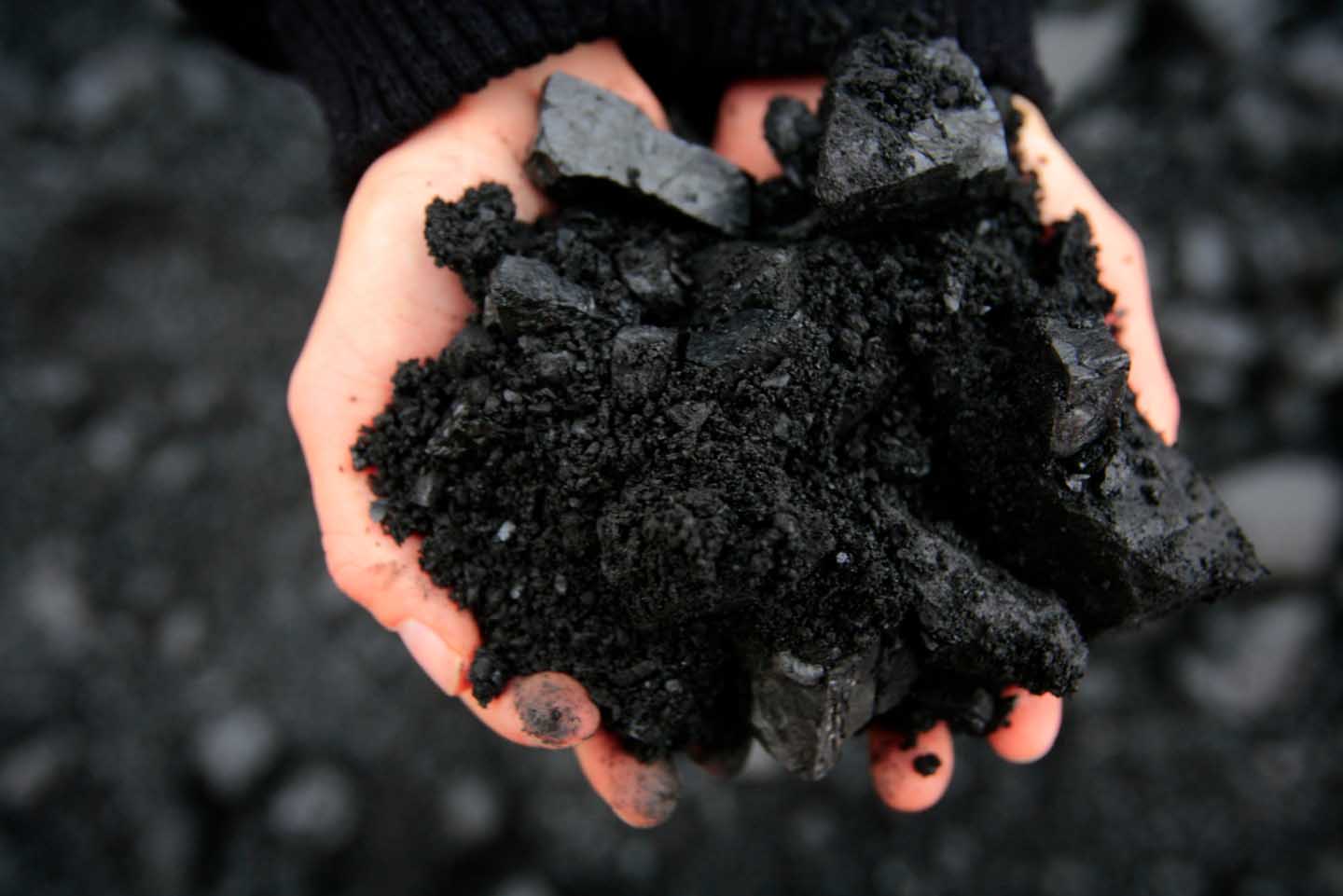 Asuransi Coal Trading